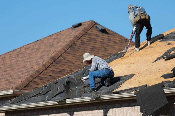 Best Metal Roofing Installation  in Louisvle, IL